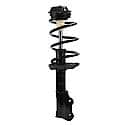 Quick-Strut Suspension Strut and Coil Spring Assembly