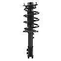 COMPLET STRUT ASMBLY