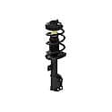 Quick-Strut Suspension Strut and Coil Spring Assembly