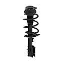 Quick-Strut Suspension Strut and Coil Spring Assembly