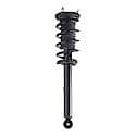 Quick-Strut Suspension Strut and Coil Spring Assembly