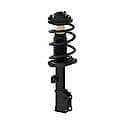 Quick-Strut Suspension Strut and Coil Spring Assembly