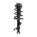 Quick-Strut Suspension Strut and Coil Spring Assembly