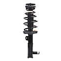 Quick-Strut Suspension Strut and Coil Spring Assembly