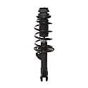 Quick-Strut Suspension Strut and Coil Spring Assembly