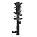 Quick-Strut Suspension Strut and Coil Spring Assembly
