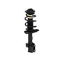 Quick-Strut Suspension Strut and Coil Spring Assembly
