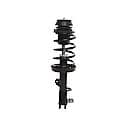 Quick-Strut Suspension Strut and Coil Spring Assembly