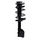 Quick-Strut Suspension Strut and Coil Spring Assembly