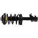 Quick-Strut Suspension Strut and Coil Spring Assembly