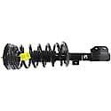 Quick-Strut Suspension Strut and Coil Spring Assembly