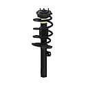 Quick-Strut Suspension Strut and Coil Spring Assembly