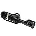 STRUT ASSEMBLY