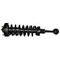 Complete Strut Assembly: Includes Strut, Coil Spring, and Mount