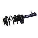 Complete Strut Assembly: Includes Strut, Coil Spring, and Mount