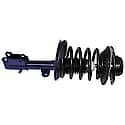 Complete Strut Assembly: Includes Strut, Coil Spring, and Mount