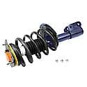 Complete Strut Assembly: Includes Strut, Coil Spring, and Mount