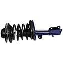 Complete Strut Assembly: Includes Strut, Coil Spring, and Mount