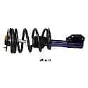 Complete Strut Assembly: Includes Strut, Coil Spring, and Mount