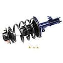 Complete Strut Assembly: Includes Strut, Coil Spring, and Mount