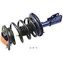 Complete Strut Assembly: Includes Strut, Coil Spring, and Mount