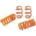 Lowering Spring Kit