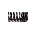 Valve Spring