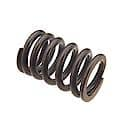 Valve Spring