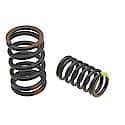 Valve Spring Kit