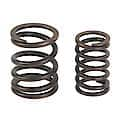 Valve Spring Set