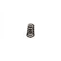 Valve Spring