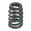 Engine Valve Spring