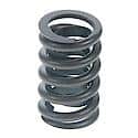 Valve Spring