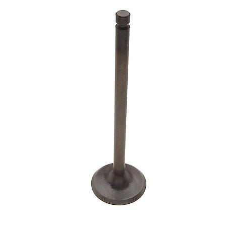 Intake Valve