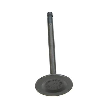 DOKURO Intake Valve