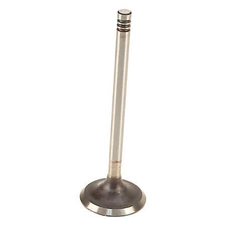 Federal Mogul Intake Valve