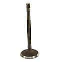 Eurospares Intake Valve