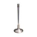 TRW Exhaust Valve