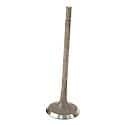 Exhaust Valve