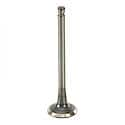 Exhaust Valve