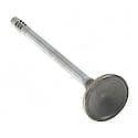 Engine Exhaust Valve