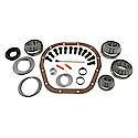 Master Overhaul Kit For Ford 10.25" Differential