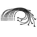 Spark Plug Wire Set: 10 Wire Set