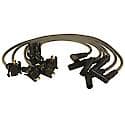 Motorcraft Ignition Wire Set