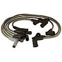 Motorcraft Ignition Wire Set