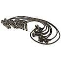 Motorcraft Ignition Wire Set