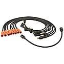 Motorcraft Ignition Wire Set