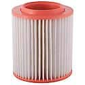 Engine Air Filter 83620: Removes up to 99% of Dirt & Debris