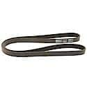 Professional V-Ribbed Serpentine Belt