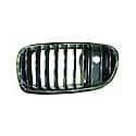 Driver Side Front Grille, Black, With Night Vision And Pedestrian Recognition